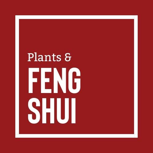 Plants & Feng Shui | Logo